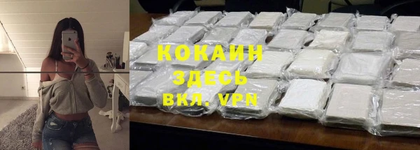 альфа пвп Гусев