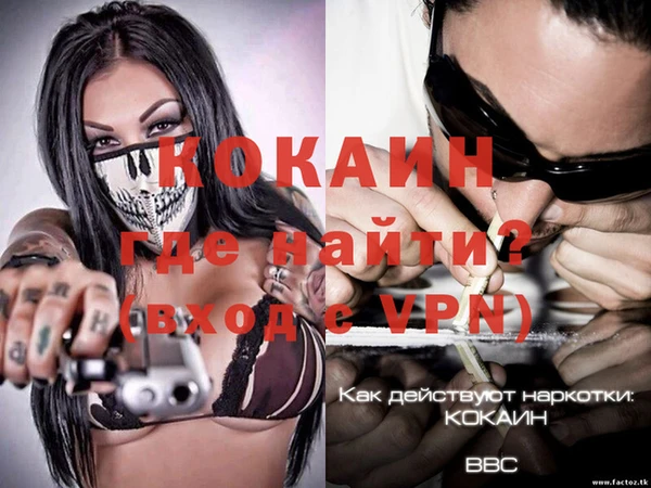альфа пвп Гусев