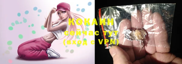 Альфа ПВП Гусь-Хрустальный