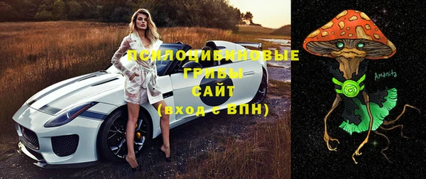 марихуана Дмитриев
