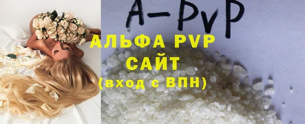 альфа пвп Гусев